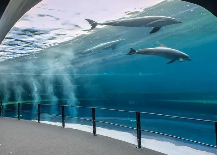 La Maison Di Caterina *